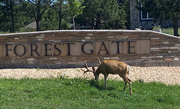 Forest-Gate-Monument